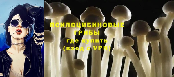прущие крисы Алексин